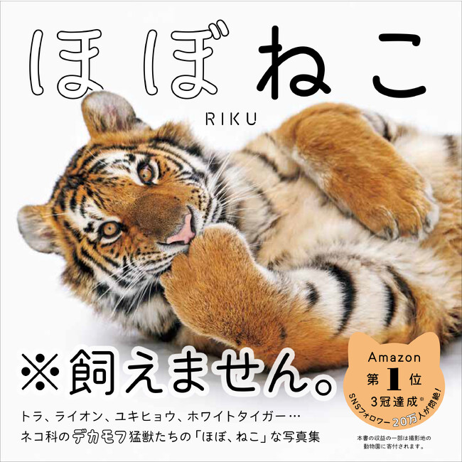 でっかい猫ちゃんみたいなネコ科の猛獣たちの写真集『ほぼねこ』発売！