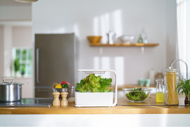 水で育てるかんたん菜園 ＩＺＵＭＩ水耕栽培キット「Ｈｕｇｖｅｇｅ*1」が長野県松本市の「ふるさと納税」返礼品に採用