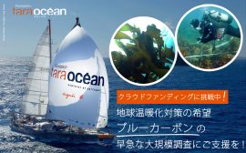 クラウドファンディングを開始 クラウドファンディングを開始