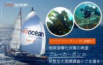 地球温暖化対策への希望、ブルーカーボンの大規模調査に向けたクラウドファンディングを開始