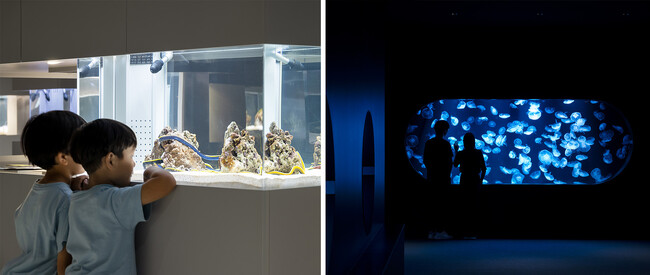 冬も毎日営業中！全天候型の都市型水族館『AOAO SAPPORO』、会員制度が発足！日中16時まで入館し放題（90日間）「にちにちパス」をスタート