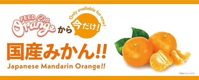 季節限定！フレッシュな搾りたて100%のみかん果汁がたのしめる自動販売機「Feed ME Orange」が限定店舗にて国産みかんジュースの提供を開始！