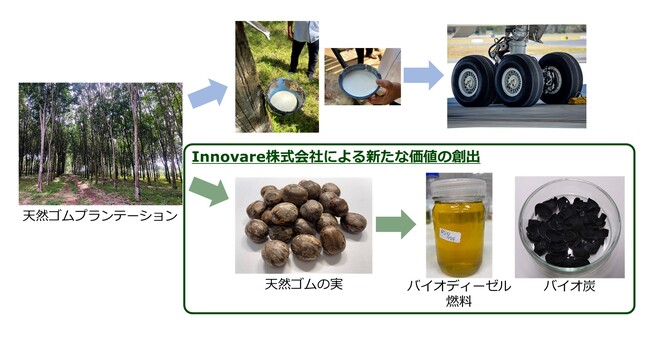世界初！天然ゴムの実からバイオ燃料やメタンガス、バイオ炭の創出！基本特許「天然ゴムの実由来バイオリファイナリー」を取得