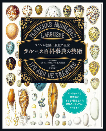 19世紀の博物画が満載！　驚異のビジュアル・アーカイブ『ラルース百科事典の芸術』が1月発売