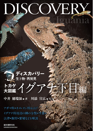 人気のイグアナやトゲオアガマをはじめイグアナ下目全種を網羅！ 