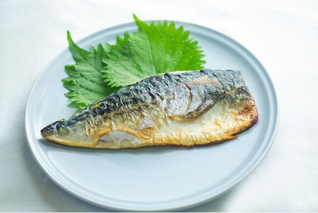 銚子漁港とともに歩む「飯田商店」株式会社設立70周年記念「大トロ骨取り鯖フィレ」を特別限定販売