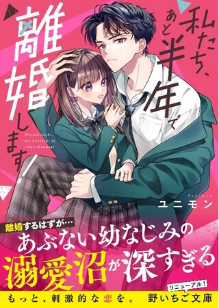 もっと、刺激的な恋を。10代後半女子向け書籍レーベルに『野いちご文庫』がリニューアル！12月25日(月）発売開始!