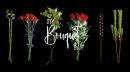 DIY Bouquet BAR