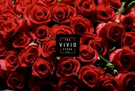 VIVID  /  THE STORE