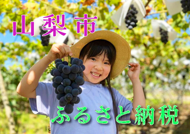 【山梨県山梨市】ふるさと納税 　忙しい年末年始にピッタリなおすすめの返礼品を紹介します！