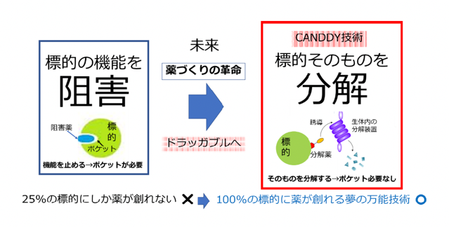 大学発ベンチャー FuturedMe　日本発の分解創薬プラットフォーム CANDDYで　NEDO「ディープテック・スタートアップ支援事業」に採択決定