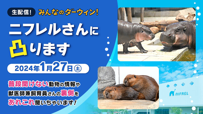 「生配信！みんなのダーウィン！ニフレルさんに凸ります」 1/27開催　普段聞けない動物の情報や獣医師でもある飼育員さんの裏側を聞いちゃいます！