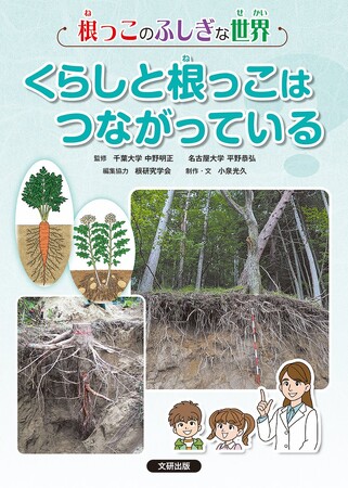 だれでも知ってる根っこについてわかりやすく解説！　文研出版より『根っこのふしぎな世界　くらしと根っこはつながっている？』を発売！