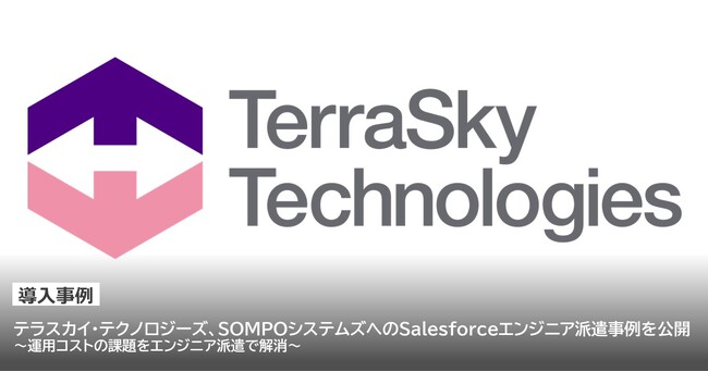 テラスカイ・テクノロジーズ、SOMPOシステムズへの Salesforceエンジニア派遣事例を公開