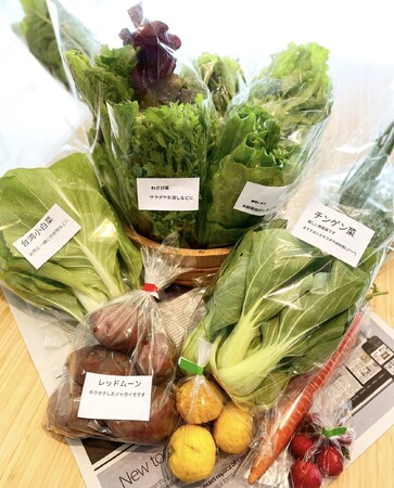 ふるさと納税返礼品に高槻産野菜の詰合せが新登場