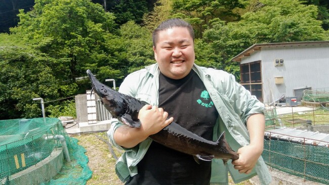 海なし県で貴重な国産キャビアが食べられるイベント。おふろcafe 白寿の湯で「チョウザメさばき会」「できたてキャビア試食会」を開催
