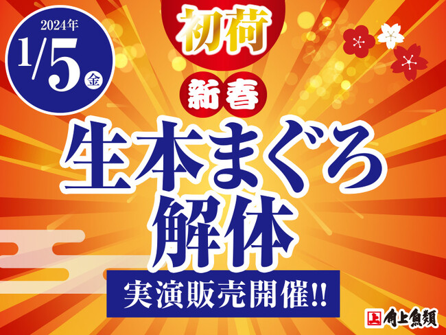 角上魚類◇2024 新年初荷1月5日◇国産 京都 伊根まぐろ 解体実演販売を全店で開催！