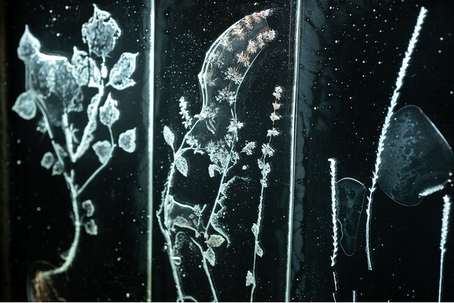 アクリス×ARTnews JAPANアート展最終章「After us : 受け継ぐということ」開催。持続可能な世界をテーマに、アート・プロデューサー山下有佳子氏がキュレーション