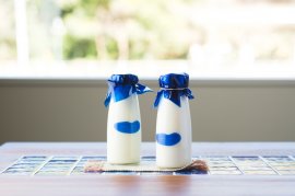 のどごし感じる「のどごし飲むヨーグルト」 のどごし感じる「のどごし飲むヨーグルト」