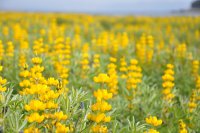 リアルグローブ、南榮工業と共同で鹿児島県東串良町において「有事／平時のドローンおよび『HecｰEye』を活用した実証実験および自治体における活用セミナー」を実施