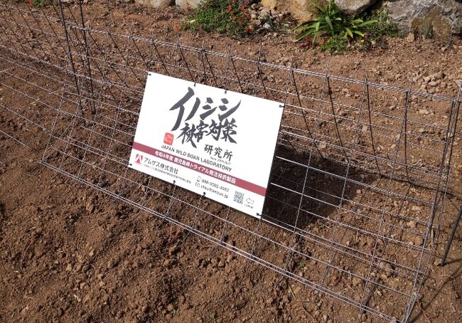 “頭を悩ますのはイノシシの番だ！”収穫目前のじゃがいも畑が被害にあい開発した侵入防止柵「イノシシガードシリーズ」新発売