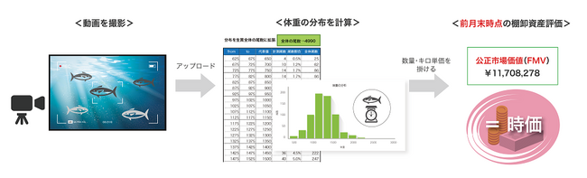 CAC、画像認識AIの活用により養殖魚の体重を推定・データ化して資産価値を算定するシステムのMVP版を提供開始