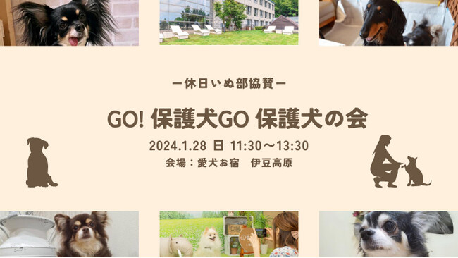 休日いぬ部協賛「保護犬の会(譲渡会)」を1月28日に開催