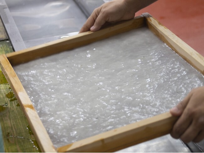 島根の小京都で時代（とき）をめぐる旅コラボ＜ゆとりろ津和野×沙羅の木＞1日限定・1000年以上続く伝統工芸「紙すき」体験付き宿泊プラン販売