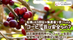 有機JAS認証や無農薬で育てられたコーヒー豆は安全なの？山王珈琲焙煎所では、コーヒー生豆の安全性に関する動画を公開しました