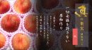 真の果実：桃