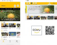 全国各地のケーブルテレビ番組をいつでもどこでも見られる地域情報アプリ「ロコテレ動画」へ配信開始