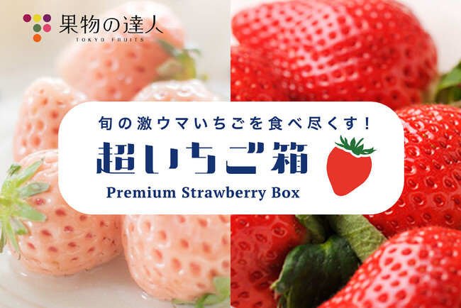 旬の国産いちごを最大12種食べ比べできる「超いちご箱」！　フルーツの専門家が全国の美味しいいちごを詰め込んだセットの販売をスタート！