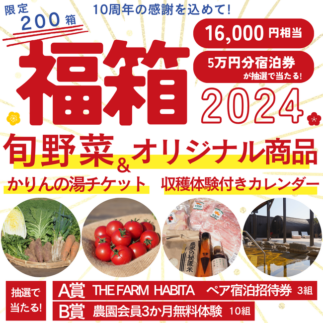 200箱限定！10周年の感謝を込めた最上級の野菜BOX「福箱2024」