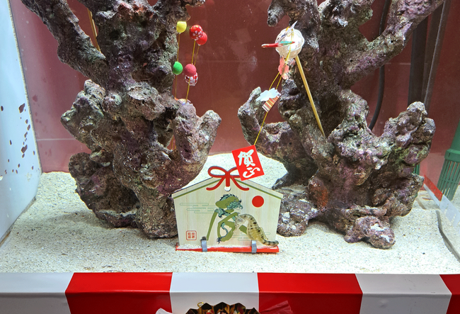 百貨店の水族館で新年を楽しもう！竜を連想させる