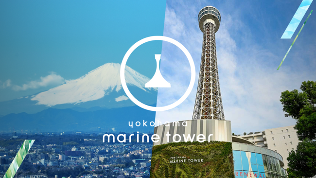 新年は、#横浜マリンタワーで富士山 を見よう