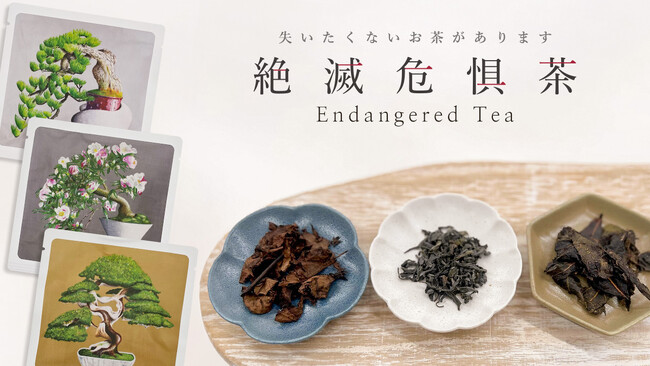 絶滅危惧茶(R)︎（Endangered Tea）を元旦より発売開始 ホテル椿山荘東京にて初期導入店として取り扱い開始