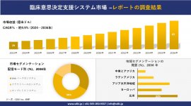 世界の臨床意思決定支援システム産業概要 世界の臨床意思決定支援システム産業概要