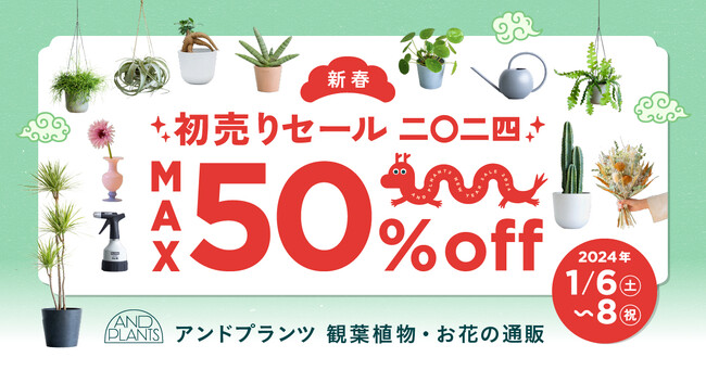 観葉植物やドライフラワーが最大50%OFF！AND PLANTS「新春初売りセール2024」を1月6日（土）より開催