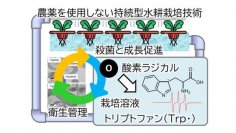 プラズマ照射で農薬を使用せず栽培溶液を
