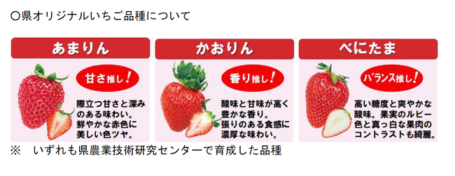 【埼玉県】いちごのシーズン到来！