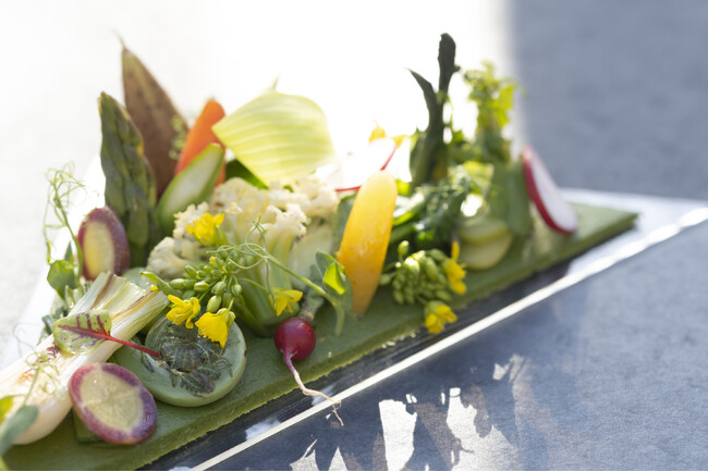 【星のや東京】江戸時代の春の野がけを現代流に解釈し、春の訪れを感じる行楽に出かける「草木萌動の野がけ」を今年も開催｜期間：2024年3月1日～5日