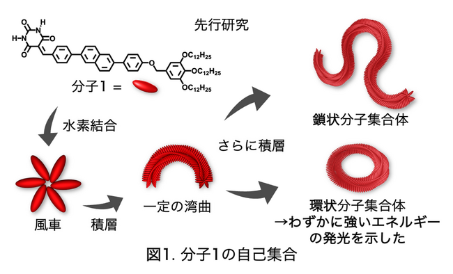 リングはよく光る！分子集合体の「形」と「発光特性」の関係を解き明かす ～機能性分子の集合構造設計における新たな指針～