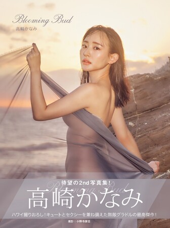 顔面最強グラドル「高崎かなみ」２冊目の写真集！ハワイで撮りおろした美しいスタイル全開カットに脱帽！
