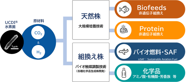農林水産省中小企業イノベーション創出推進事業に採択