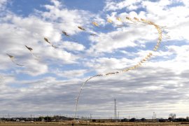 100枚の凧をつなげたアーチカイト 100枚の凧をつなげたアーチカイト