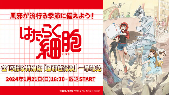 風邪を引くその前に…アニメで体の仕組みを学ぼう！ 細菌と戦う細胞たちの姿を描く『はたらく細胞』 ニコ生で全話無料一挙放送が決定
