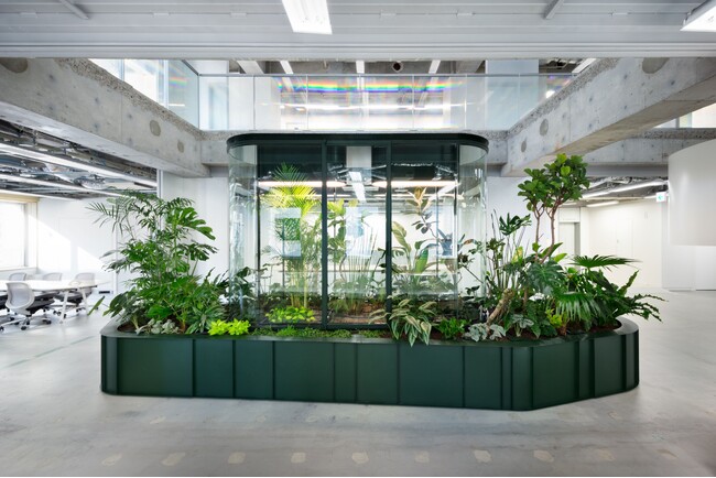 アジア初！JINS新社屋に、空気を浄化する画期的なアート”Fabbrica dell’Aria(R)”導入