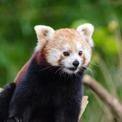 【1/15より】【能登半島地震】被災者支援の給付金、防災に使える補助金情報のご案内を開始しました【助成金なう】