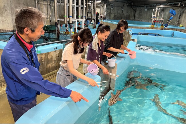 【JAF茨城】「アクアワールド茨城県大洗水族館バックヤードツアー」を開催します