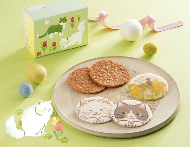 【2月22日はねこの日】日向ぼっこしているかわいいねこちゃんで癒しを届けます。